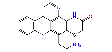 N-Deacetylshermilamine B